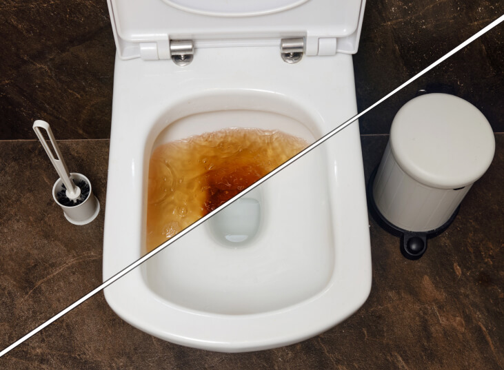 Professionele wcontstopping door erkende loodgieters  Loodgieter  Verwarming Loodgieter ontstopte een verstopte wc in Brussel
